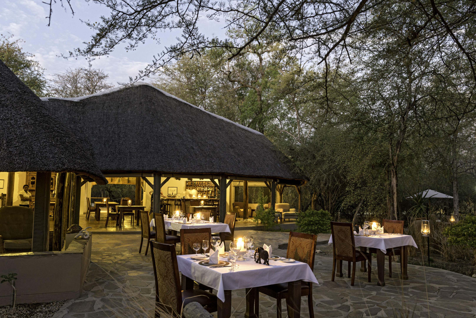 Onguma Forest Camp