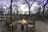 Onguma Forest Camp