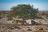 Etosha King Nehale Lodge - Tierbeobachtung im Etosha National Park