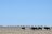 Etosha King Nehale Lodge - Tierbeobachtung im Etosha National Park
