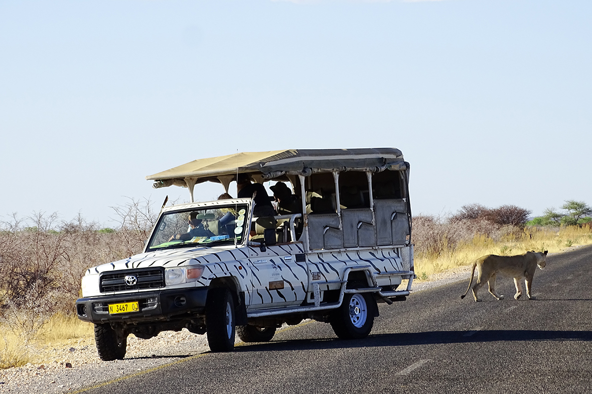 Etosha Safari Camp