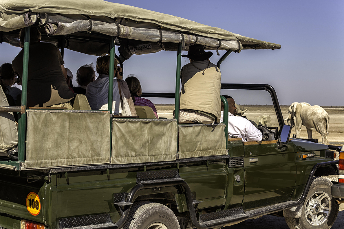 Etosha Village - Pirschfahrt
