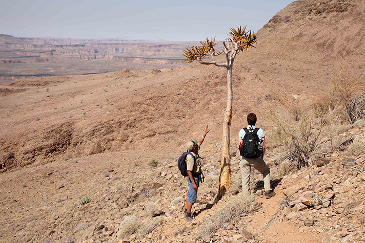 Fish River Lodge, Hiking im Fish River Canyon