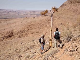 Fish River Lodge, Hiking im Fish River Canyon Fish River Lodge, Hiking im Fish River Canyon