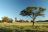 Frans Indongo Lodge