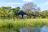Hakusembe River Lodge - Zimmer