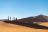 Hoodia Lodge