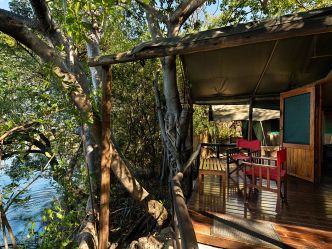 Ichingo Chobe River Lodge - Zelt Ichingo Chobe River Lodge - Zelt