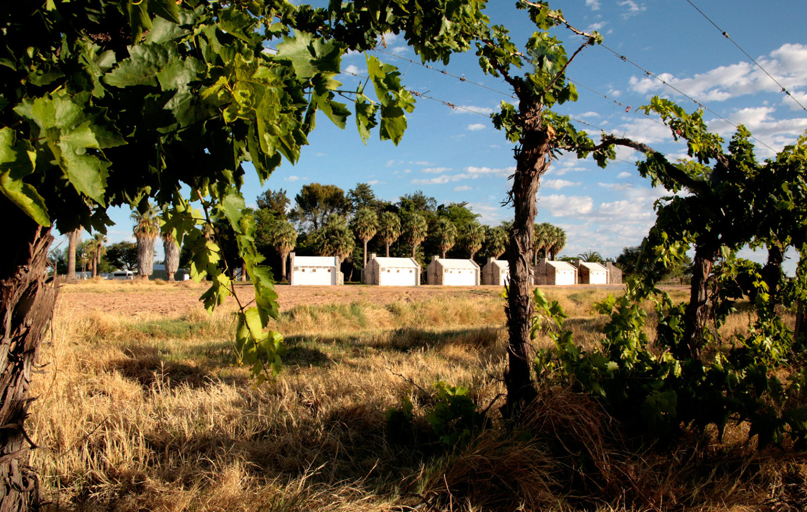 Kalahari Farmhouse 