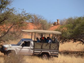 Kalahari Game Lodge, Pirschfahrt Kalahari Game Lodge, Pirschfahrt