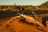 Kalahari Game Lodge, Kalahari Landschaft