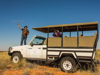 Kalahari Game Lodge, Lion Tracking Kalahari Game Lodge, Lion Tracking