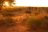 Kalahari Red Dunes Lodge