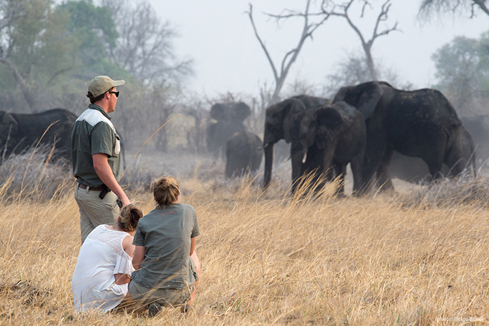 Kazile Island Lodge - Walking Safari