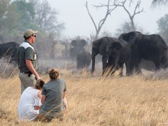 Kazile Island Lodge - Walking Safari Kazile Island Lodge - Walking Safari