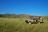 Khowarib Lodge - Game Drive