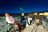 Kulala Desert Lodge - Star gazing Kulala Desert Lodge - Star gazing