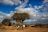 Kulala Desert Lodge - Walk Kulala Desert Lodge - Walk
