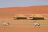 Kwessi Dunes