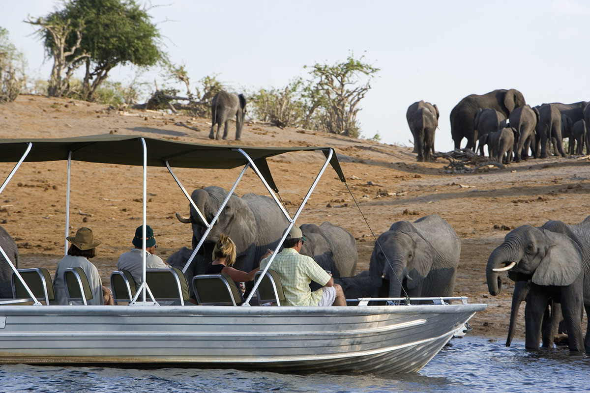 Caprivi Flusslandschaft
