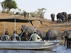 Caprivi Flusslandschaft