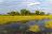 Nambwa Tented Lodge, Kwando River