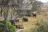 Nkasa Lupala Lodge - Zelte