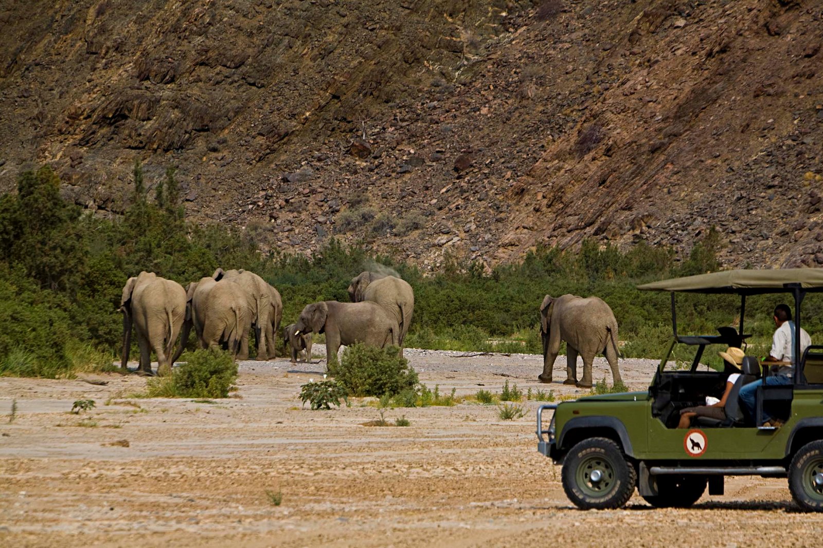 Okahirongo Elephant Lodge - Game Drive