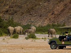 Okahirongo Elephant Lodge - Game Drive