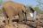 Okutala Lodge - Elefanten Fütterung
