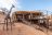 Onduli Ridge - Main Area