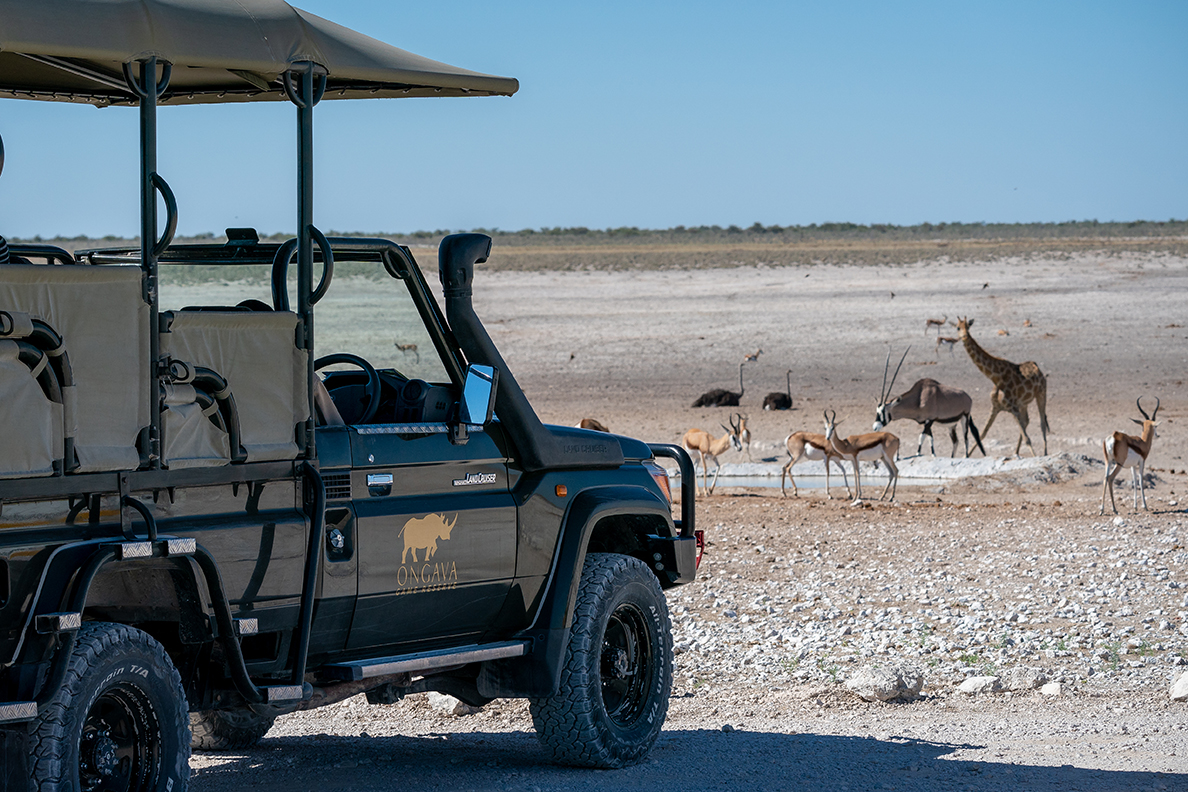 Anderssons Camp - Game Drive 1