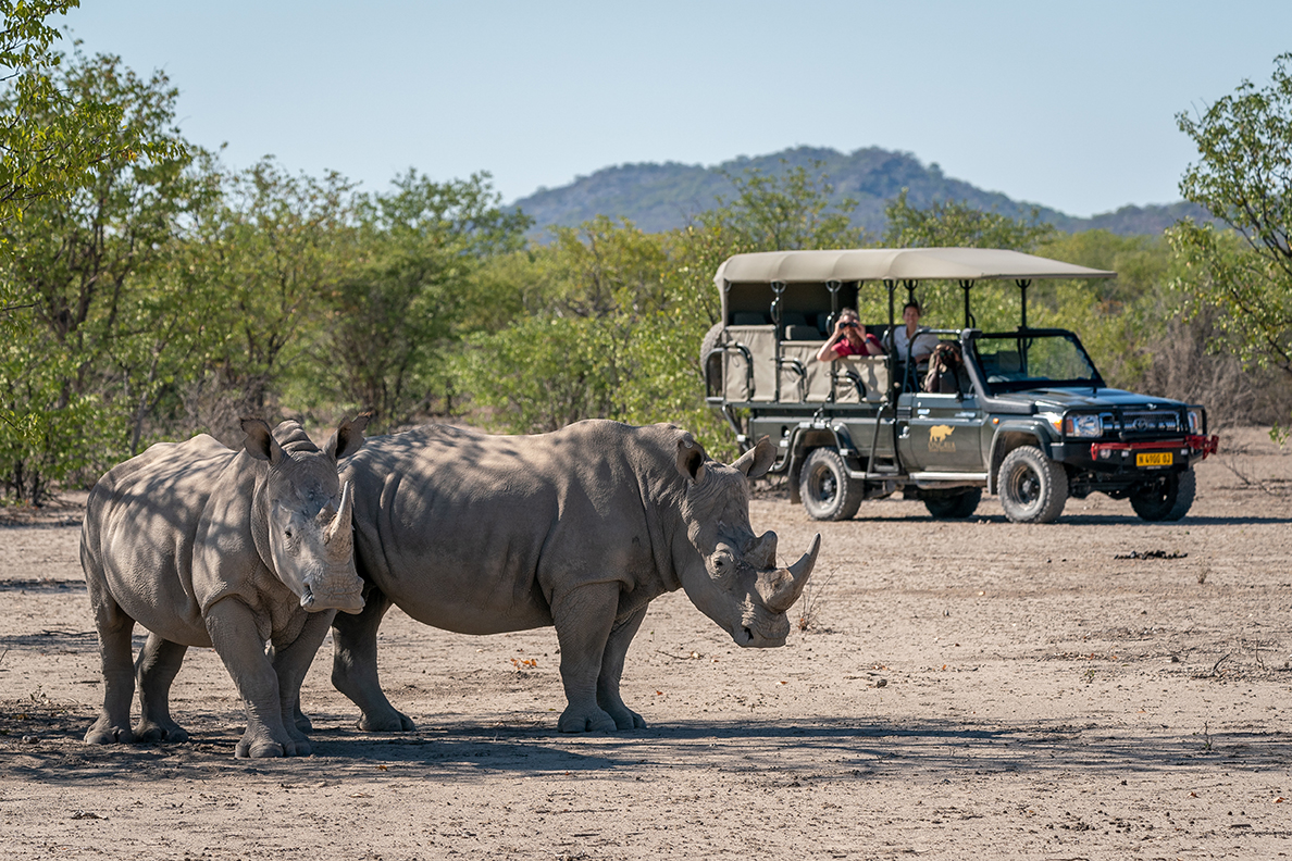 Anderssons Camp - Game Drive 2