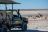 Anderssons Camp - Game Drive 1