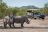 Anderssons Camp - Game Drive 2
