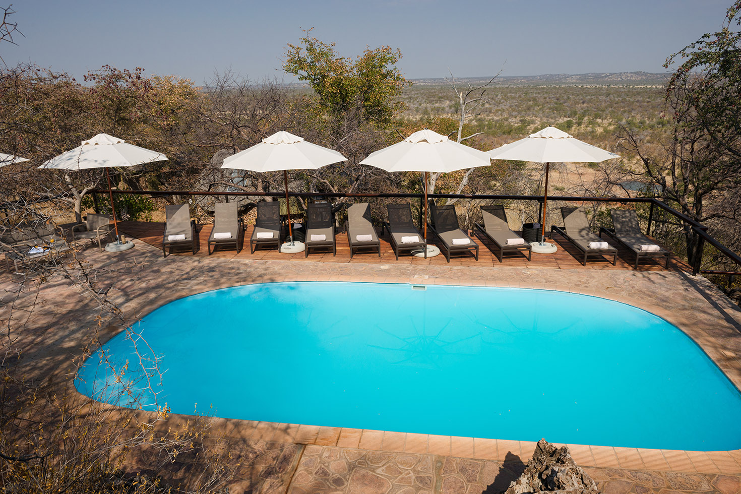 Ongava Lodge - Pool