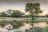 Onguma Tented Camp