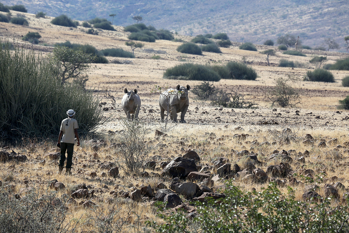 Palmwag Lodge