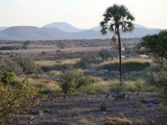 Palmwag Lodge, Damaraland