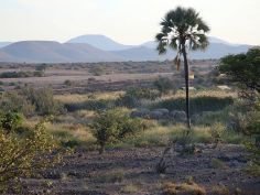 Palmwag Lodge