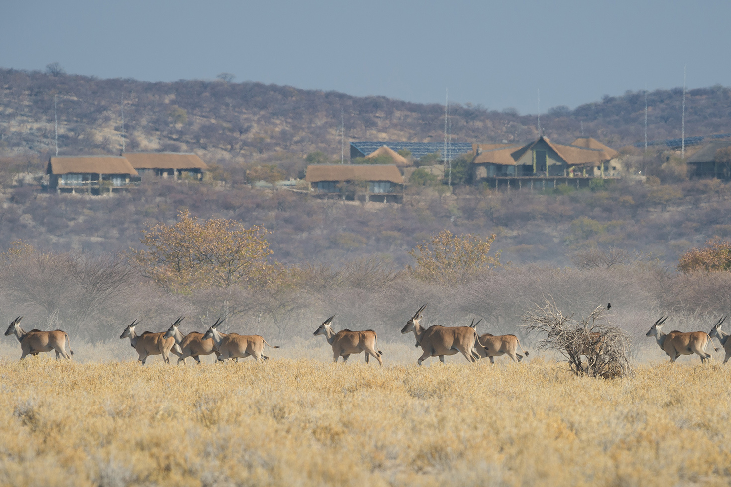 Safarihoek Lodge