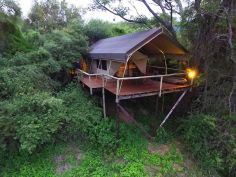 Taranga Safari Lodge - Chalet