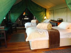 Taranga Safari Lodge - Chalet