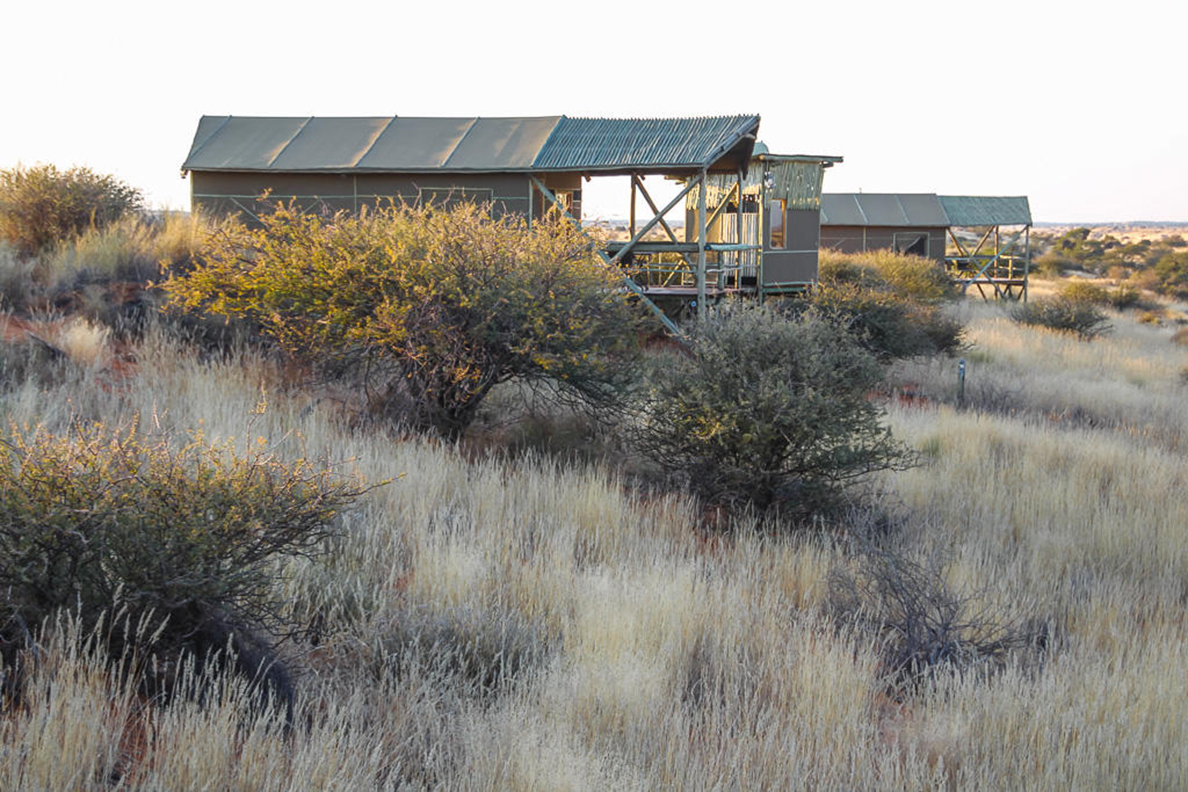 Teufelskrallen Tented Lodge