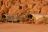 Twyfelfontein Adventure Camp - Zelt-Zimmer