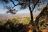 Waterberg Camp