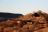 Waterberg Valley Lodge