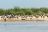 Zambezi Mubala Lodge - Bootsausflug Zambezi Mubala Lodge - Bootsausflug