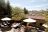 Olive Grove