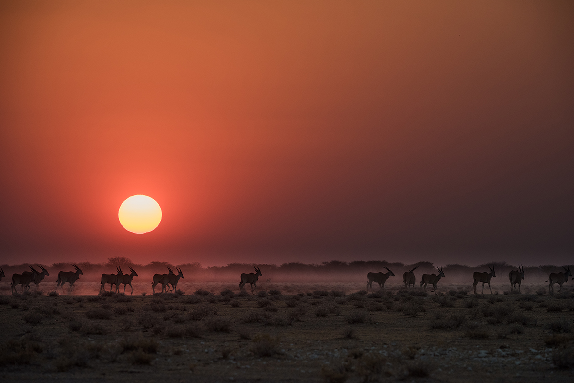Etosha Heights Private Reserve
